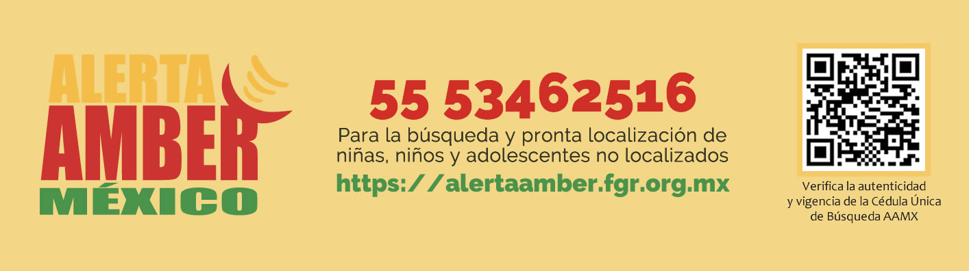 Alerta Amber MX